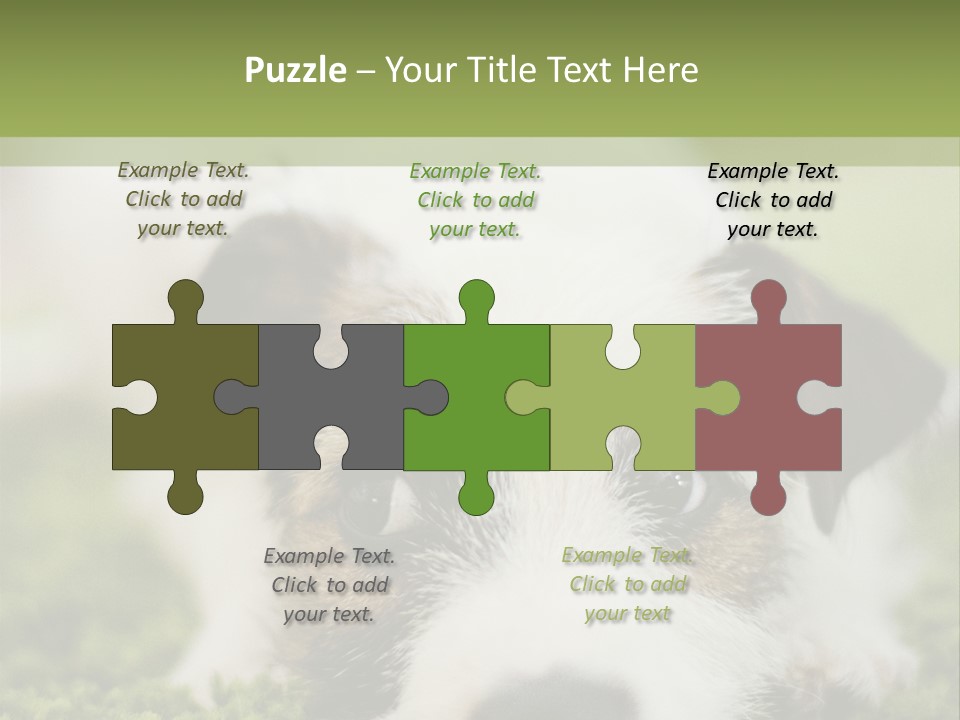 Pedigreed Purebred Side PowerPoint Template