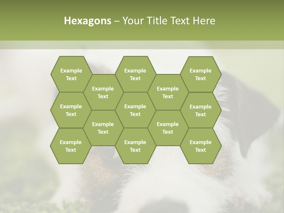 Pedigreed Purebred Side PowerPoint Template