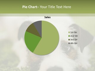 Pedigreed Purebred Side PowerPoint Template