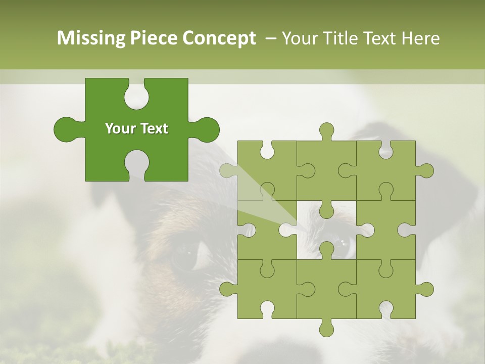 Pedigreed Purebred Side PowerPoint Template