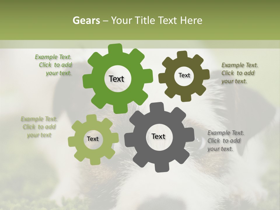 Pedigreed Purebred Side PowerPoint Template