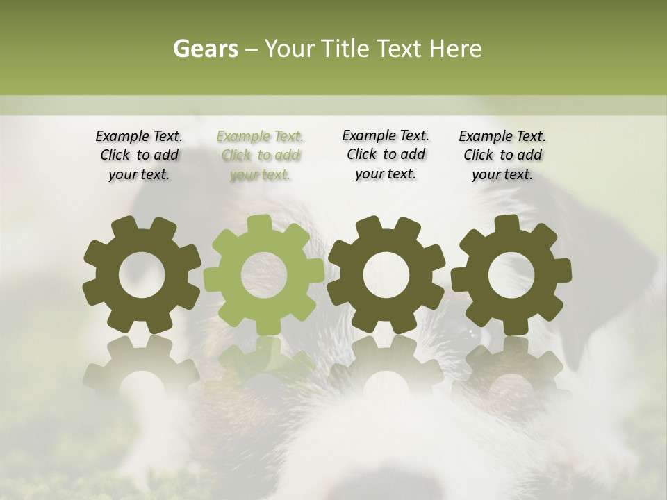 Pedigreed Purebred Side PowerPoint Template