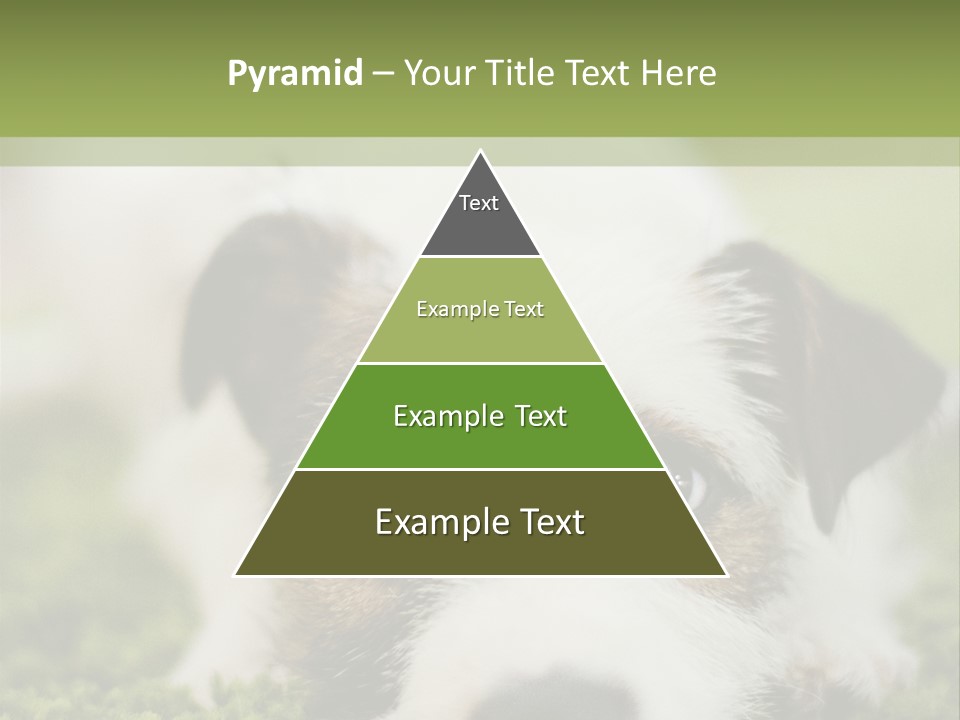 Pedigreed Purebred Side PowerPoint Template