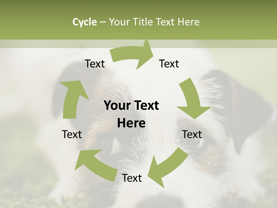 Pedigreed Purebred Side PowerPoint Template