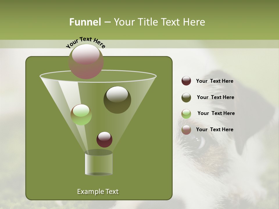 Pedigreed Purebred Side PowerPoint Template