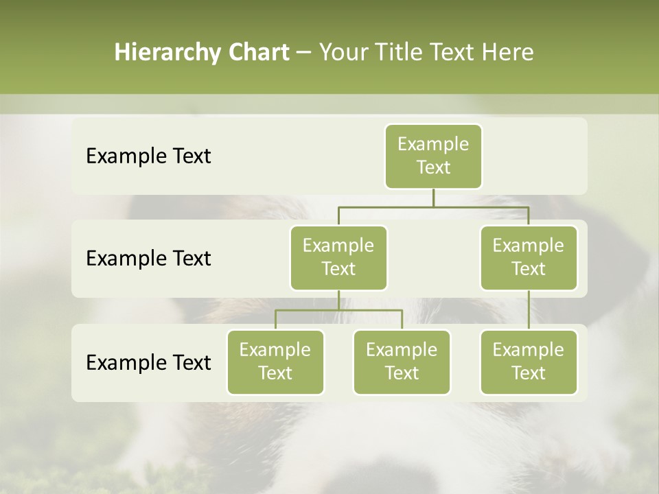 Pedigreed Purebred Side PowerPoint Template