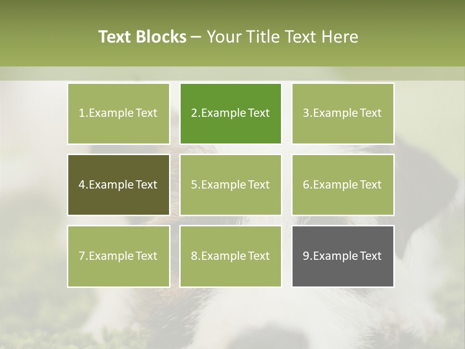 Pedigreed Purebred Side PowerPoint Template