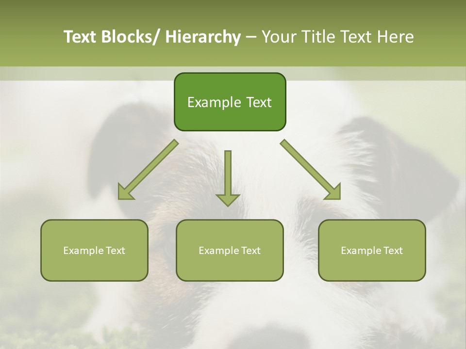 Pedigreed Purebred Side PowerPoint Template