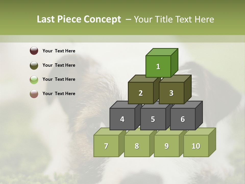 Pedigreed Purebred Side PowerPoint Template