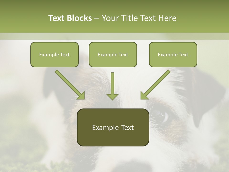 Pedigreed Purebred Side PowerPoint Template