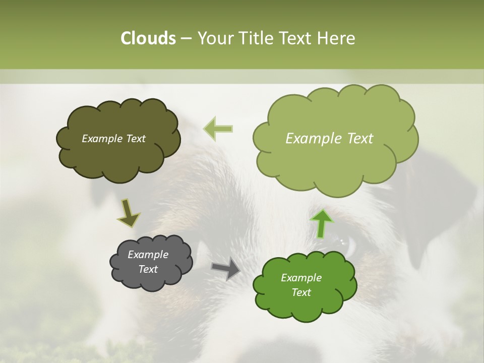 Pedigreed Purebred Side PowerPoint Template