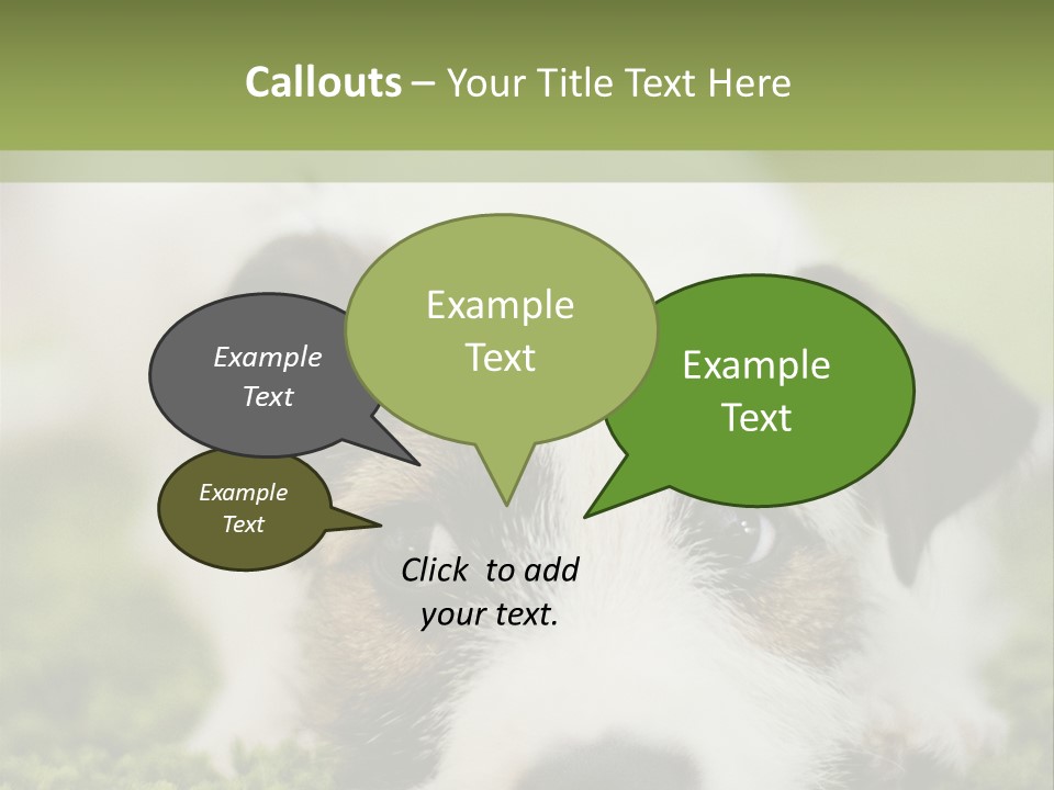 Pedigreed Purebred Side PowerPoint Template