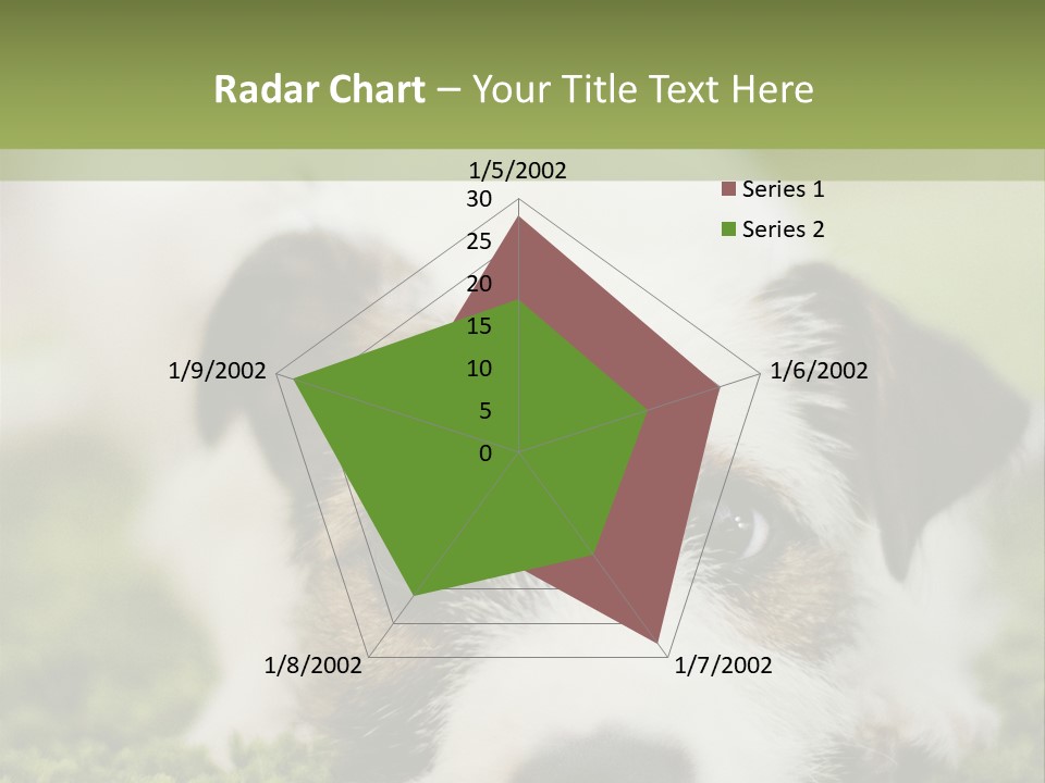 Pedigreed Purebred Side PowerPoint Template
