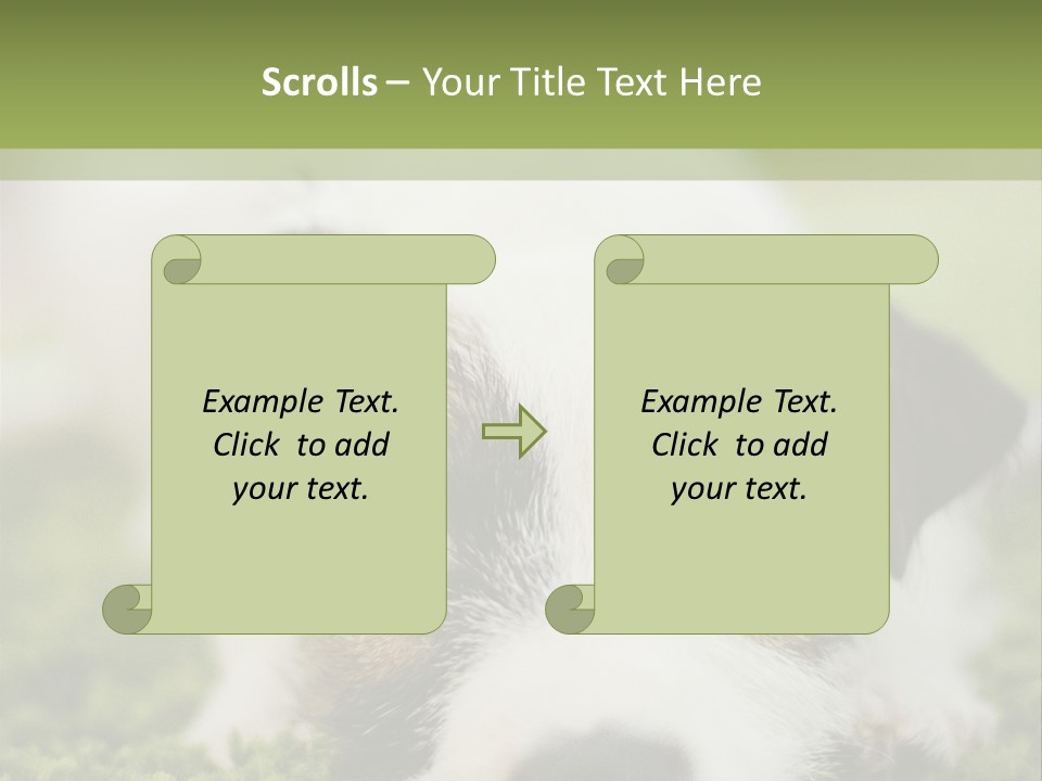 Pedigreed Purebred Side PowerPoint Template