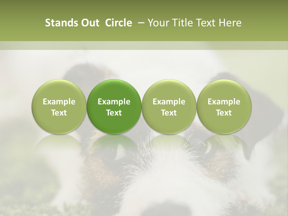 Pedigreed Purebred Side PowerPoint Template