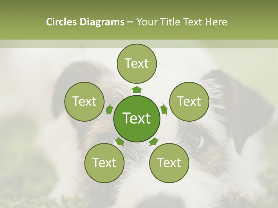 Pedigreed Purebred Side PowerPoint Template