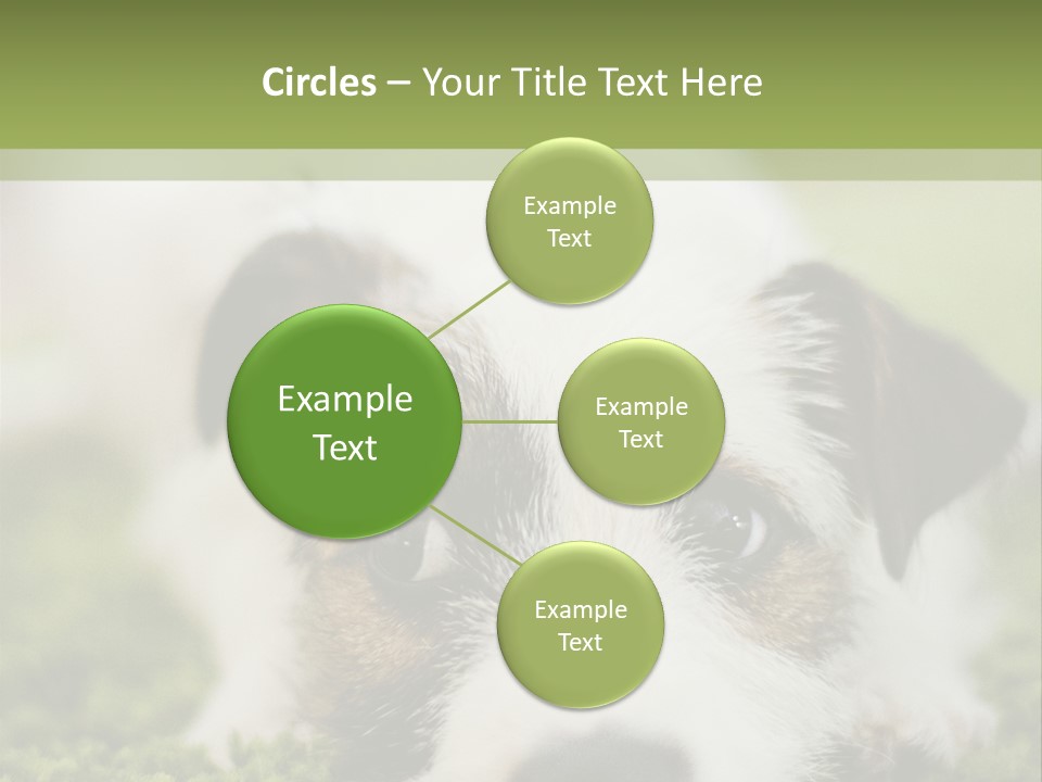 Pedigreed Purebred Side PowerPoint Template
