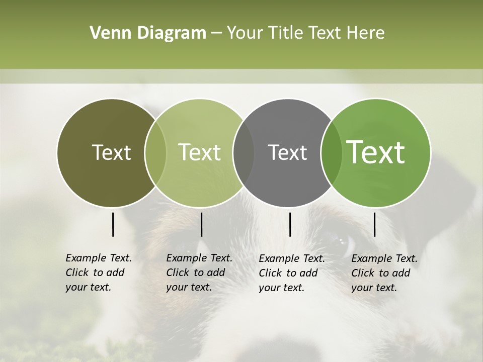 Pedigreed Purebred Side PowerPoint Template