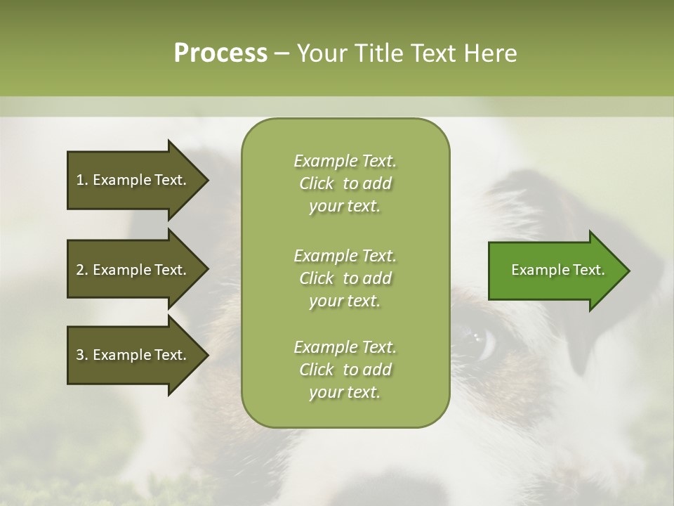 Pedigreed Purebred Side PowerPoint Template