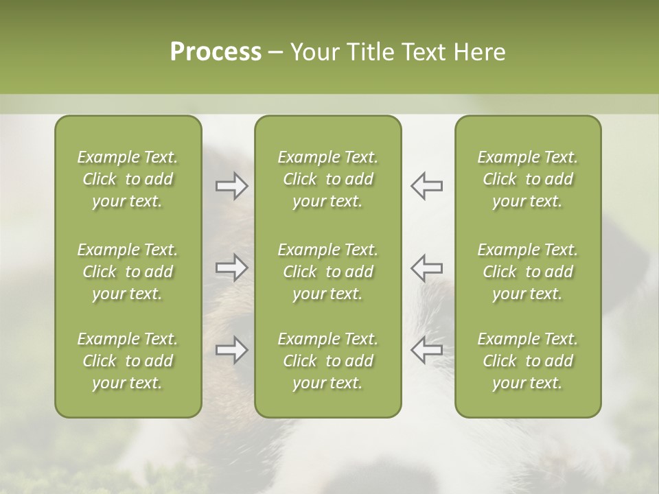 Pedigreed Purebred Side PowerPoint Template