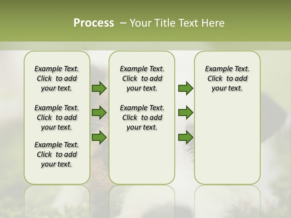 Pedigreed Purebred Side PowerPoint Template