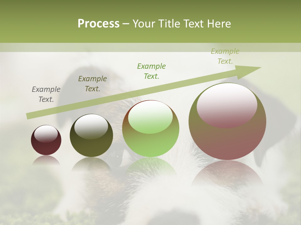 Pedigreed Purebred Side PowerPoint Template