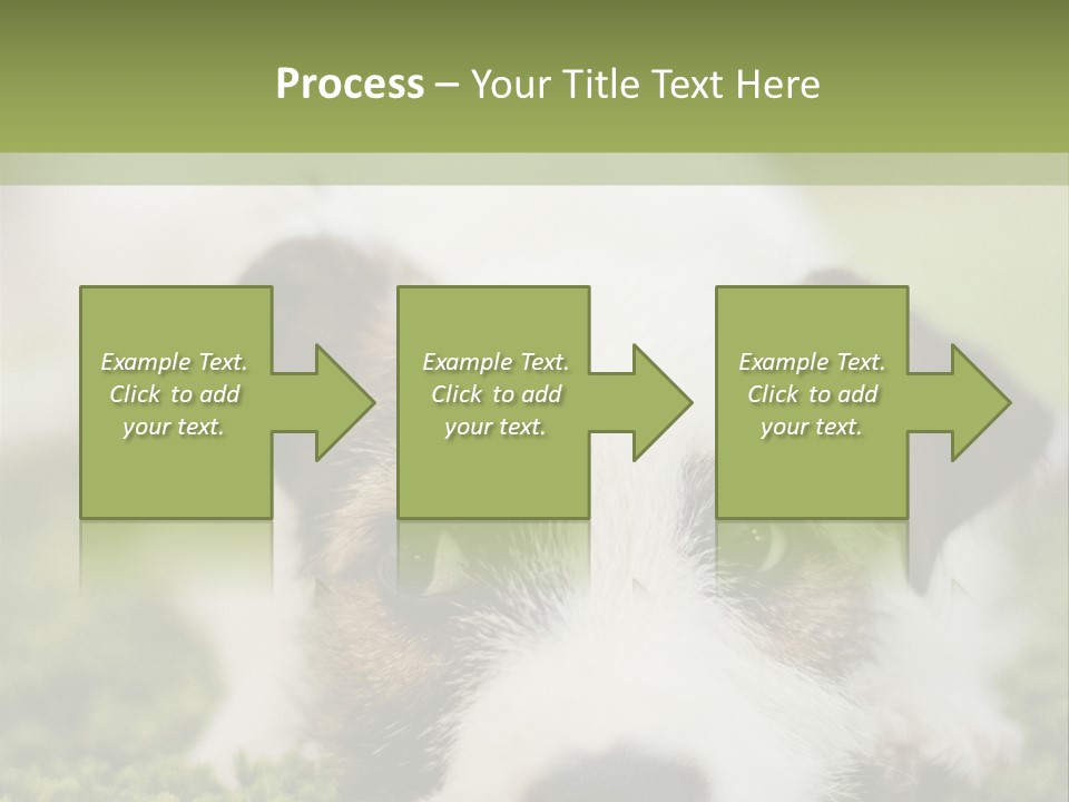 Pedigreed Purebred Side PowerPoint Template