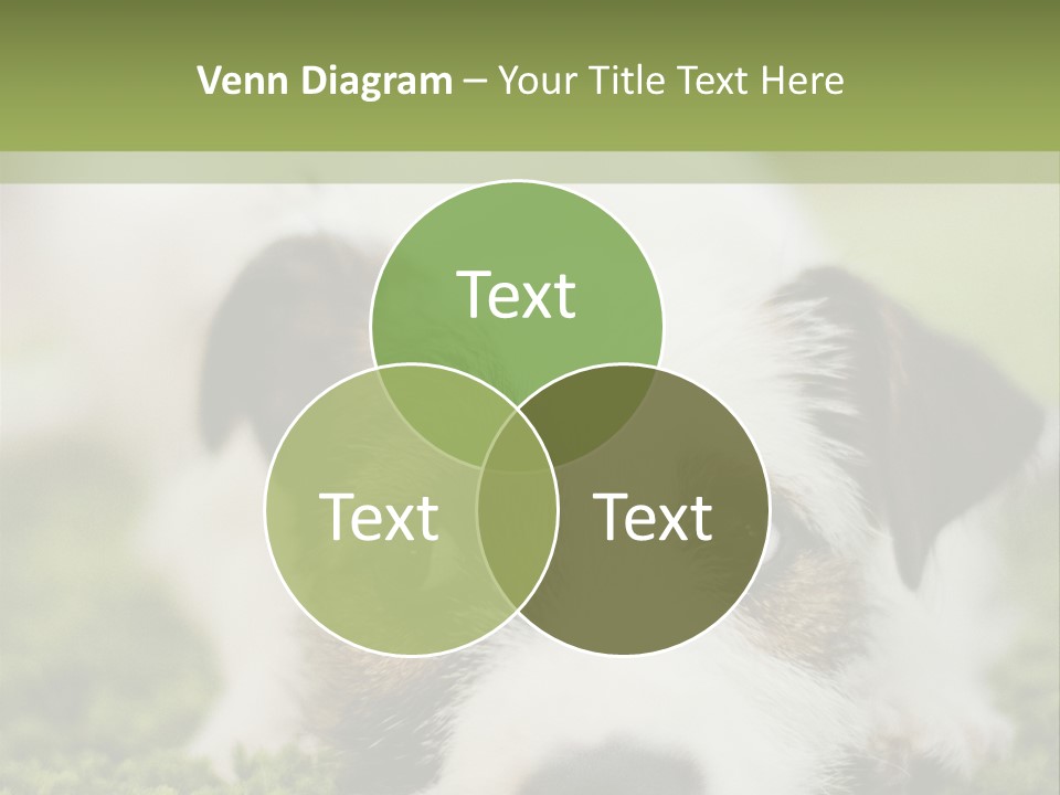 Pedigreed Purebred Side PowerPoint Template