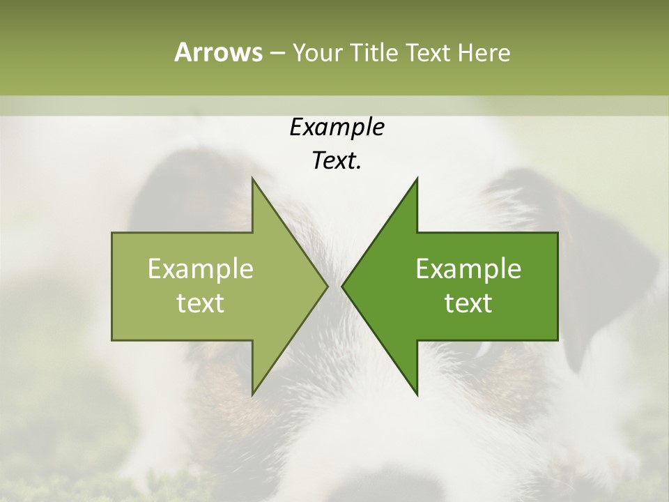 Pedigreed Purebred Side PowerPoint Template
