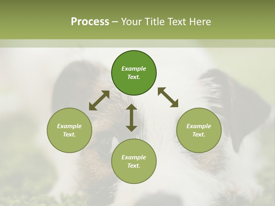 Pedigreed Purebred Side PowerPoint Template