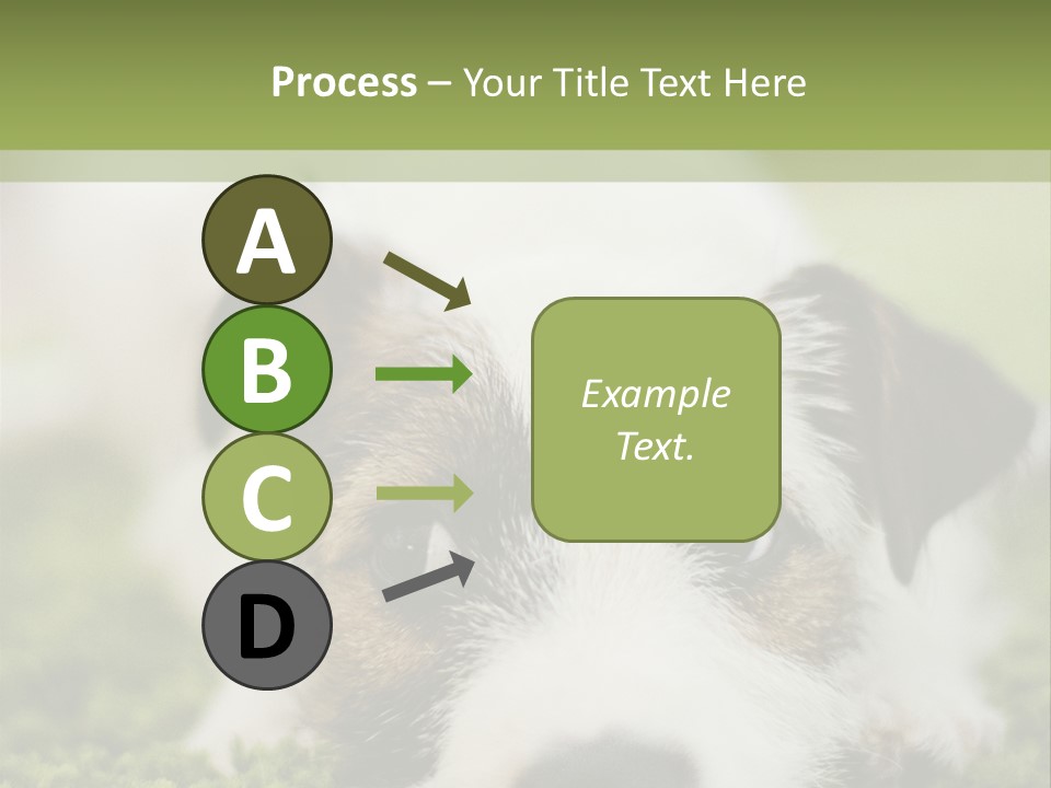 Pedigreed Purebred Side PowerPoint Template