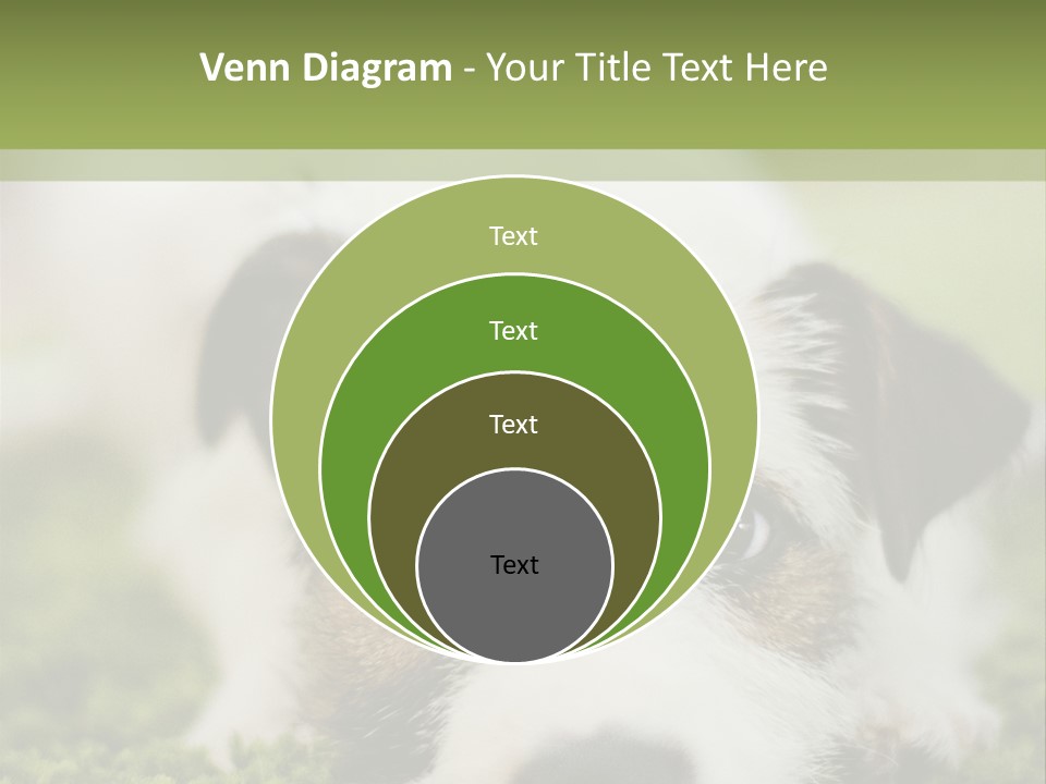 Pedigreed Purebred Side PowerPoint Template