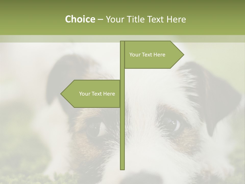 Pedigreed Purebred Side PowerPoint Template