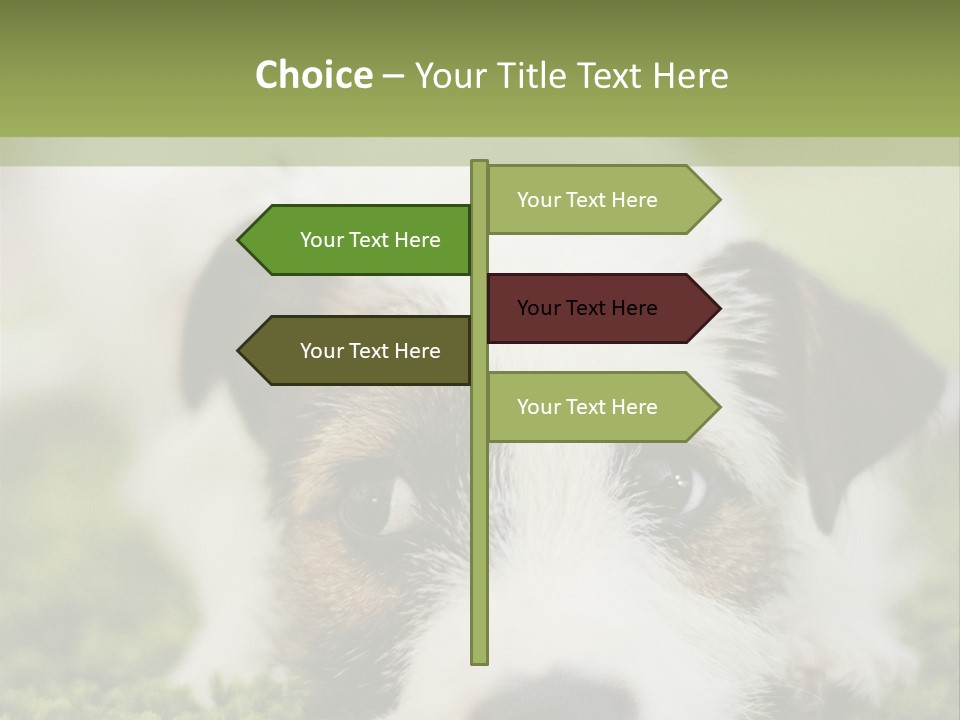 Pedigreed Purebred Side PowerPoint Template