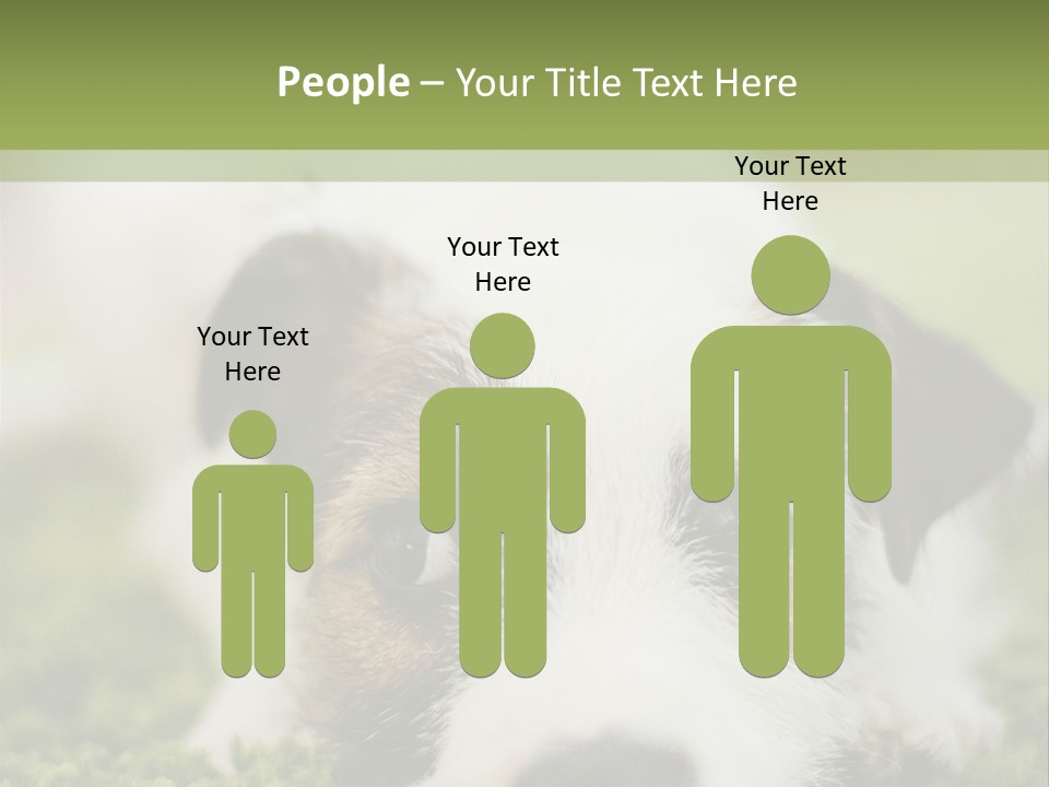 Pedigreed Purebred Side PowerPoint Template