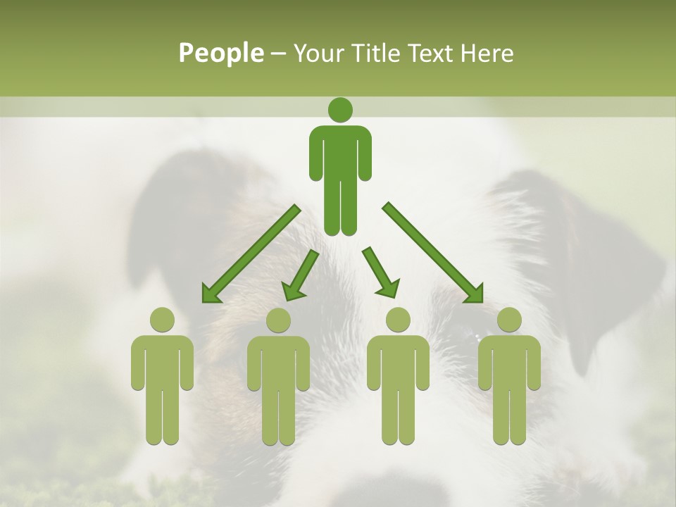 Pedigreed Purebred Side PowerPoint Template