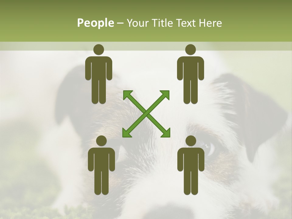 Pedigreed Purebred Side PowerPoint Template