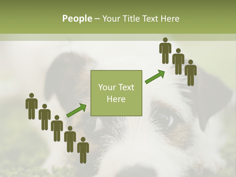 Pedigreed Purebred Side PowerPoint Template