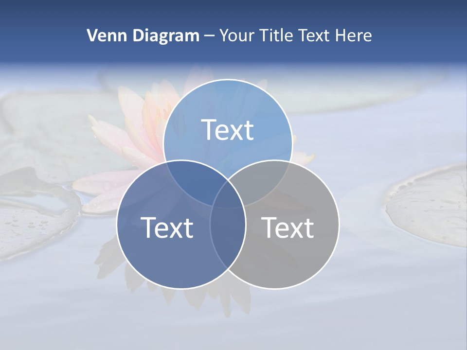 Red Colorful Peaceful PowerPoint Template