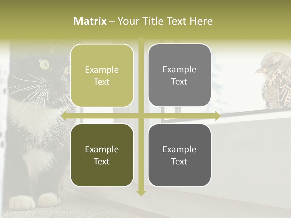 Three Expression Hypnosis PowerPoint Template