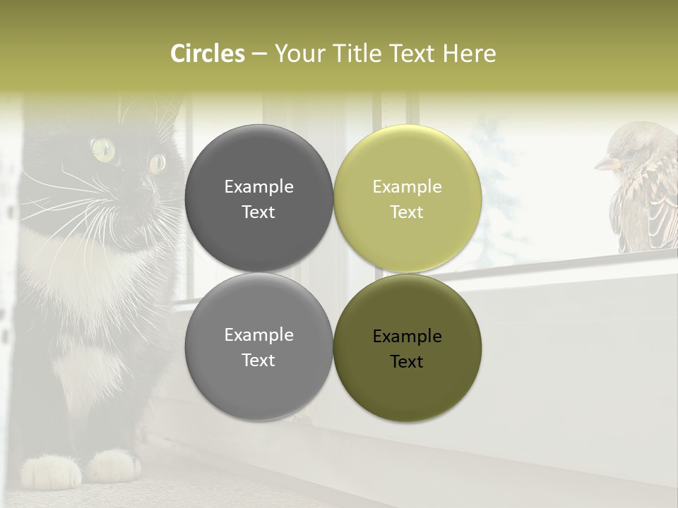 Three Expression Hypnosis PowerPoint Template