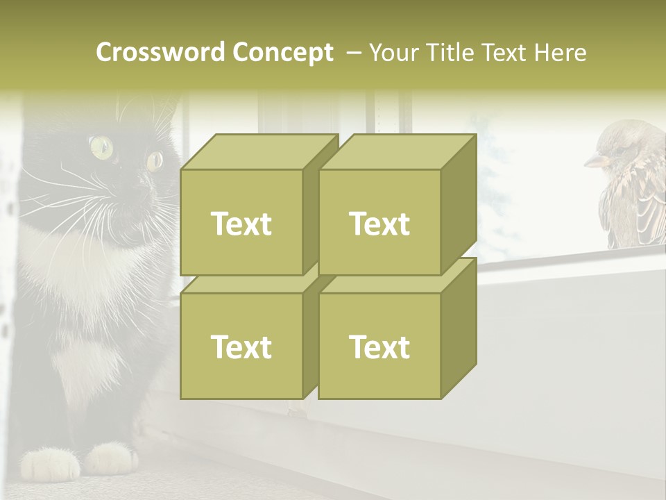 Three Expression Hypnosis PowerPoint Template