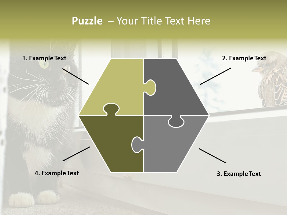 Three Expression Hypnosis PowerPoint Template