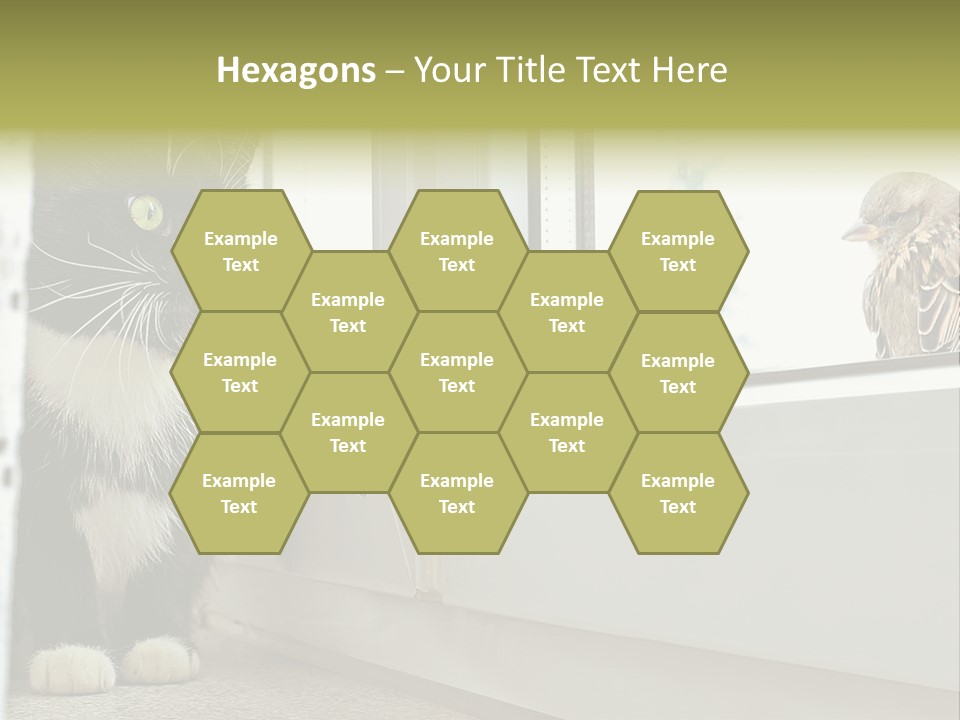 Three Expression Hypnosis PowerPoint Template