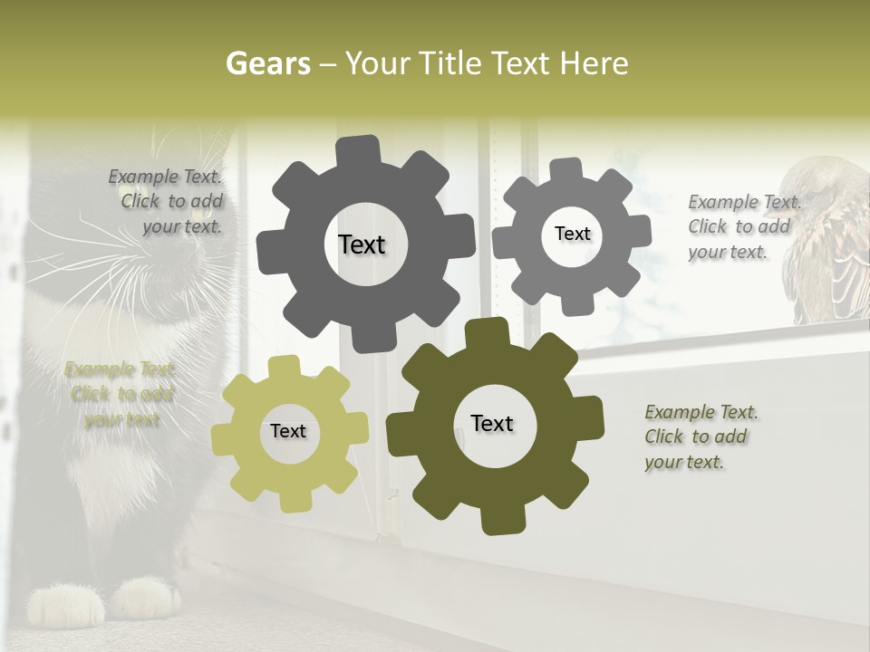 Three Expression Hypnosis PowerPoint Template