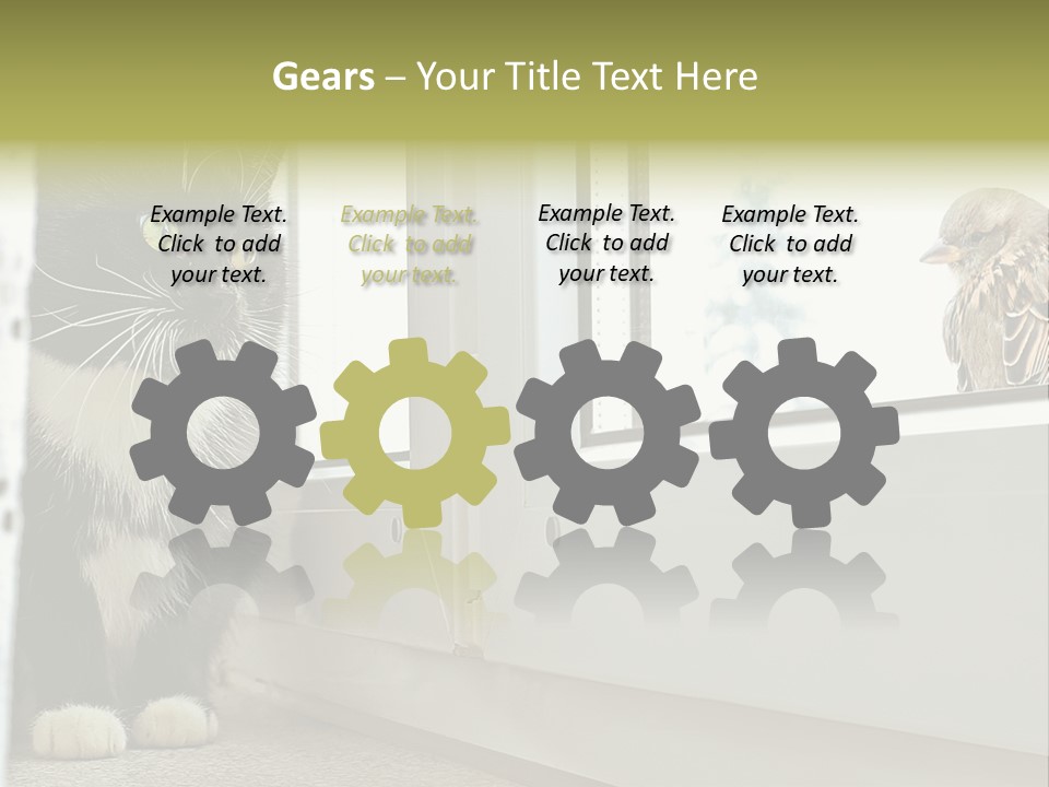 Three Expression Hypnosis PowerPoint Template