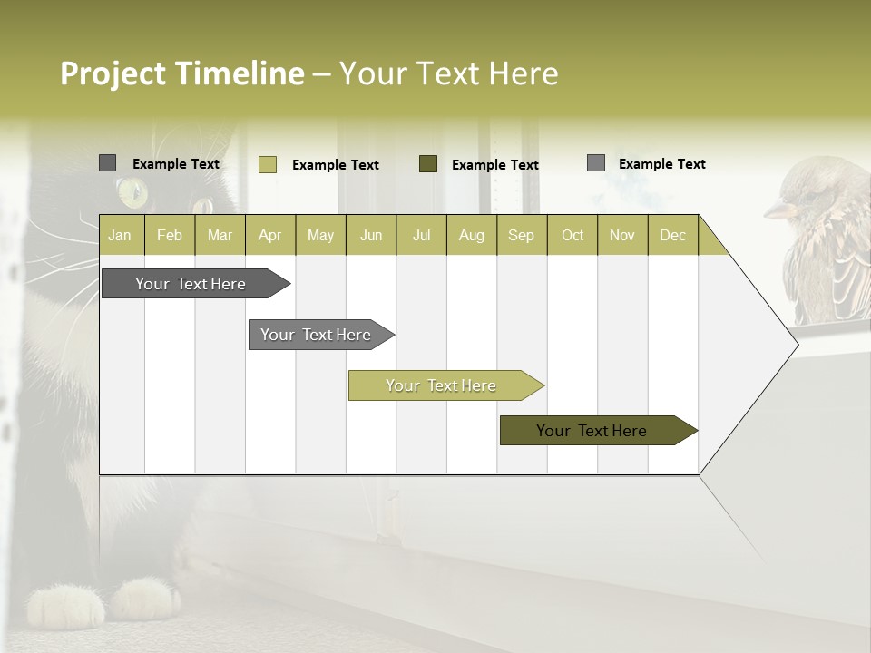 Three Expression Hypnosis PowerPoint Template