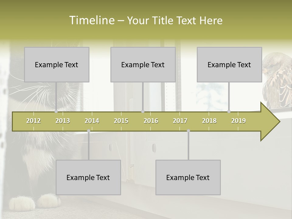 Three Expression Hypnosis PowerPoint Template