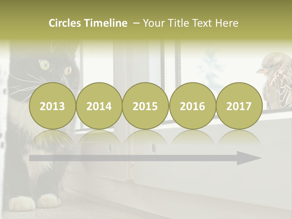 Three Expression Hypnosis PowerPoint Template