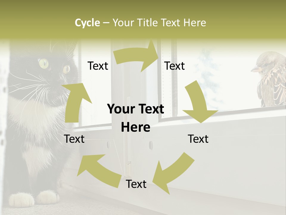 Three Expression Hypnosis PowerPoint Template